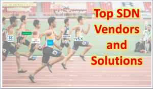 Top SDN Vendors